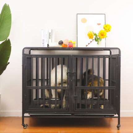 Duplex Pet Habitat
